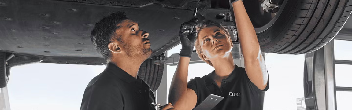 Banner Priority Service Audi 3